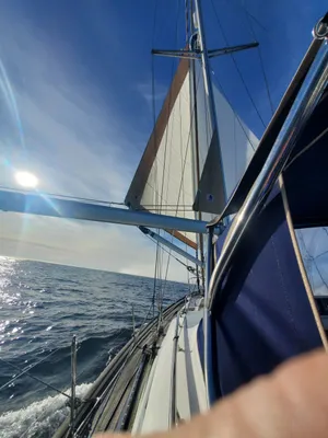 Double yankee downwind sailing